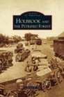 Image for Holbrook and the Petrified Forest