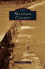 Image for Sullivan County