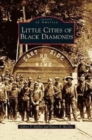 Image for Little Cities of Black Diamonds