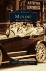 Image for Moline : City of Mills