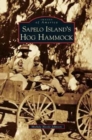 Image for Sapelo Island&#39;s Hog Hammock