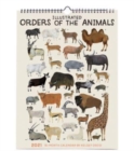 Image for ILLUSTRATED ORDERS OF THE ANIMALS 2021 C