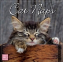 Image for CAT NAPS SQUARE WALL CALENDAR 2021