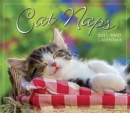Image for CAT NAPS BOX CALENDAR 2021