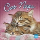 Image for CAT NAPS