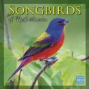 Image for SONGBIRDS OF NORTH AMERICA