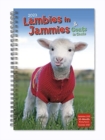 Image for LAMBIES IN JAMMIES GOATS IN COATS