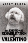Image for Emotional Rehabilitation of Valentino