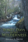 Image for Forty Days in the Wilderness