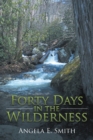 Image for Forty Days in the Wilderness: A Walk With God