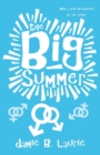 Image for The Big Summer