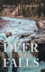 Image for Deer Clearing Falls