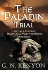 Image for The Paladin Trial