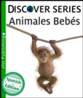 Image for Animales Bebes.