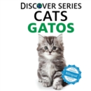 Image for Cats / Gatos