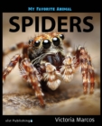 Image for My Favorite Animal: Spiders
