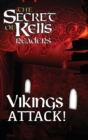 Image for Vikings Attack!