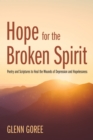 Image for Hope for the Broken Spirit: Poetry and Scriptures to Heal the Wounds of Depression and Hopelessness