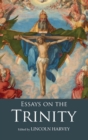 Image for Essays on the Trinity