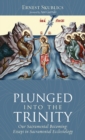 Image for Plunged into the Trinity