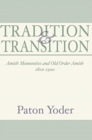 Image for Tradition and Transition