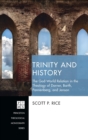 Image for Trinity and History