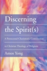 Image for Discerning the Spirit(s)