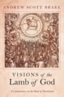 Image for Visions of the Lamb of God : A Commentary on the Book of Revelation