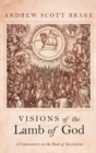 Image for Visions of the Lamb of God