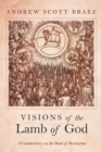 Image for Visions of the Lamb of God: A Commentary on the Book of Revelation