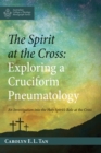 Image for Spirit at the Cross: Exploring a Cruciform Pneumatology: An Investigation into the Holy Spirit&#39;s Role at the Cross