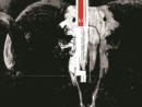 Image for The Black Monday Murders Volume 1
