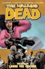 Image for The Walking Dead Volume 29: Lines We Cross
