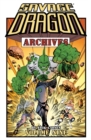 Image for Savage Dragon Archives Vol. 9