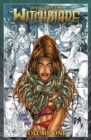 Image for The Complete Witchblade Volume 1