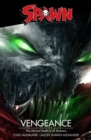 Image for Spawn: Vengeance