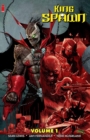 Image for King Spawn Vol. 1