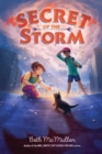 Image for The Secret of the Storm