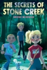 Image for The Secrets of Stone Creek
