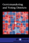 Image for Gerrymandering and Voting Districts
