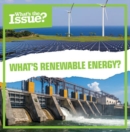 Image for What&#39;s renewable energy?