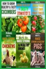Image for 6 books in 1 : Agriculture, Agronomy, Animal Husbandry, Sustainable Agriculture, Tropical Agriculture, Farm Animals, Vegetables, Fruit Trees, Chickens, Ducks, Pigs, Tomatoes, Cucumbers