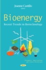 Image for Bioenergy  : prospects, applications and future directions