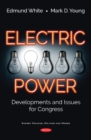 Image for Electric power  : developments and issues for Congress