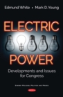Image for Electric Power: Developments and Issues for Congress