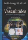 Image for Vasculitides. Volume 2: Nervous System Vasculitis and Treatment (Second Edition)