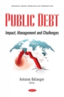 Image for Public debt  : impact, management and challenges
