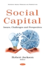 Image for Social Capital: Issues, Challenges and Perspectives