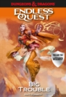 Image for Dungeons &amp; Dragons: Big Trouble : An Endless Quest Book