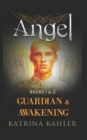 Image for ANGEL - Books 1 and 2